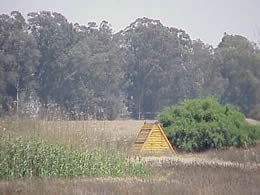 A numbrer of bird hides are placed around the pan