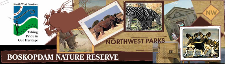 Boskop Dam Nature Reserve