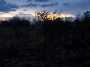 Twilight