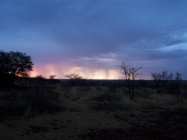 Twilight