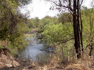Borakalao National Park