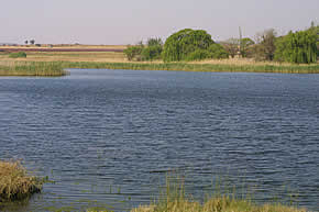 Boskop Dam Nature Reserve - Photo by Rainbird Publishers