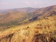 Kgaswane Mountain Reserve - Photo by Linx Africa