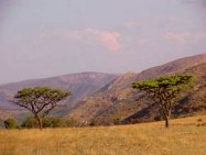 Kgaswane Mountain Reserve