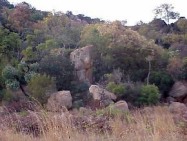 A vleiland and valleys at the Kgaswane Mountain Reserve