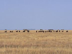 SA Lombard Nature Reserve
