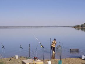 vaalkop Dam offers a variety of fish species