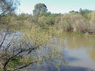 Wolwespruit Nature Reserve