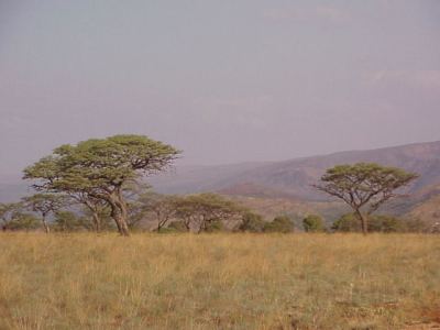 Kgaswane Mountain Reserve in the North West Province of South Africa