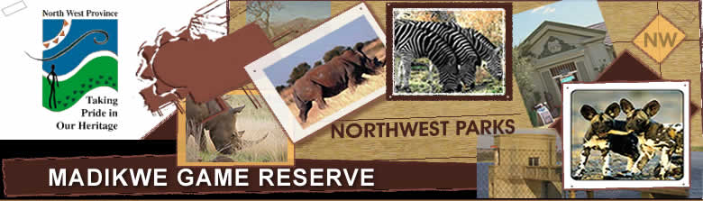 Madikwe Game Reserve