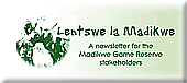 Madikwe Newsletter