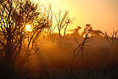 Sunset over the veld