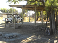 Bush camp