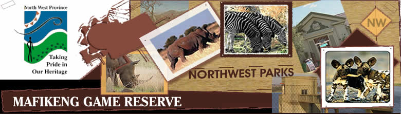 Mafikeng Game Reserve