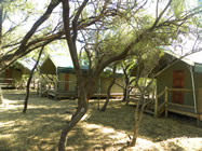 Tented camp