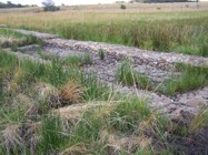 Protection for the wetland area -  built by local people