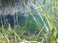 A closer look at the clear water