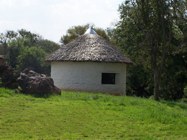 Outbuilding being conserved