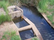 Water flowing from the Eye in the canal