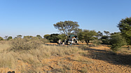 Molopo Nature Reserve