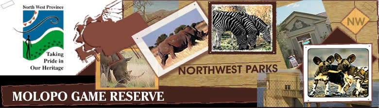 Molopo Game Reserve