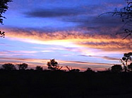 Sunset over the veld