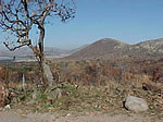 A View Point