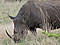 Pilanesberg Game Reserve