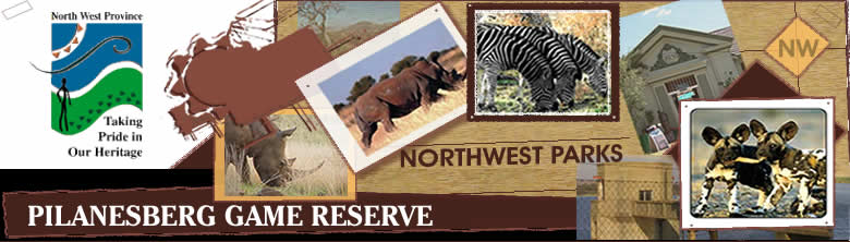 Pilanesberg National Park