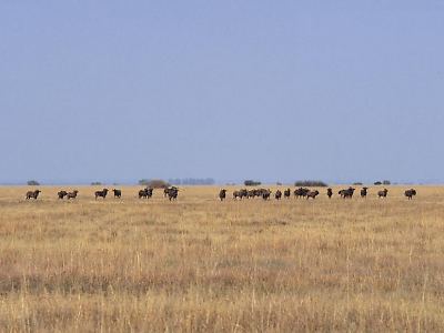 SA Lombard Nature Reserve in the North West Province of South Africa - Photo by Rainbird Publishers