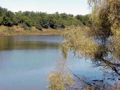Wolwespruit Nature Reserve in the North West Province of South Africa